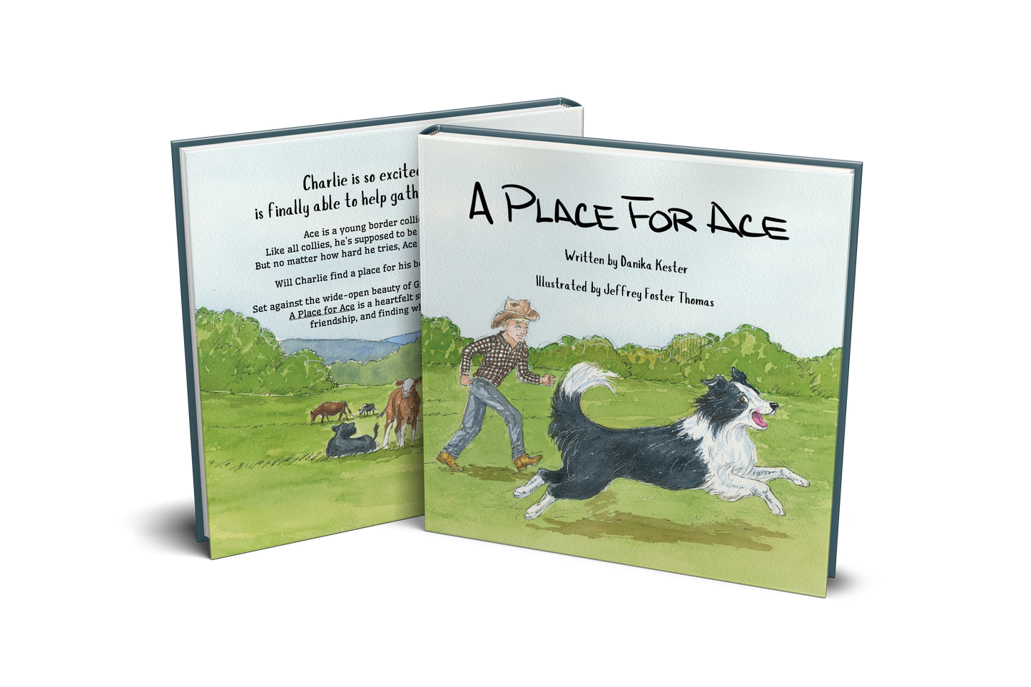 Launch Team Pre-order Hardcover: A Place for Ace Signed Hardcover