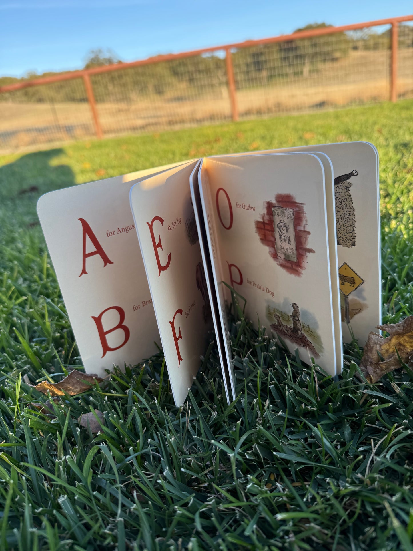 Little Rancher's ABC Board Book