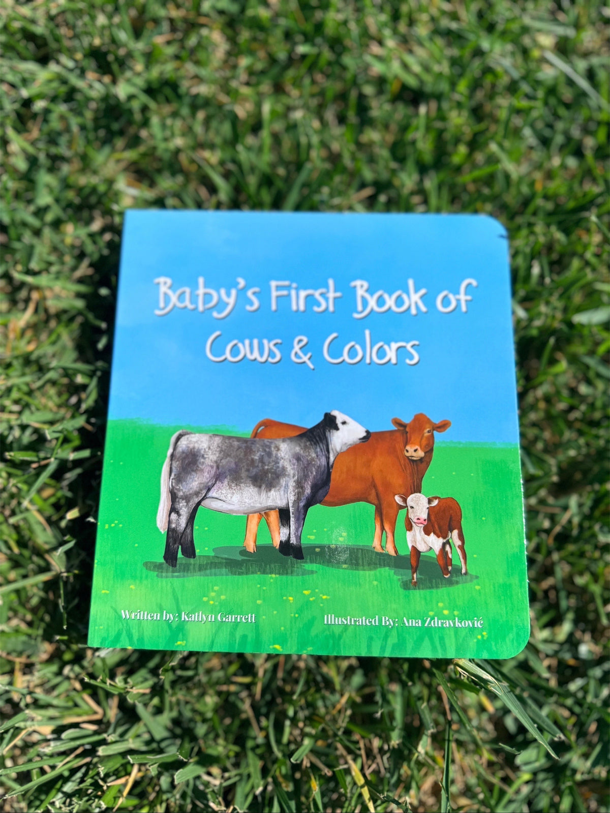 Board Book Trio 3/$33