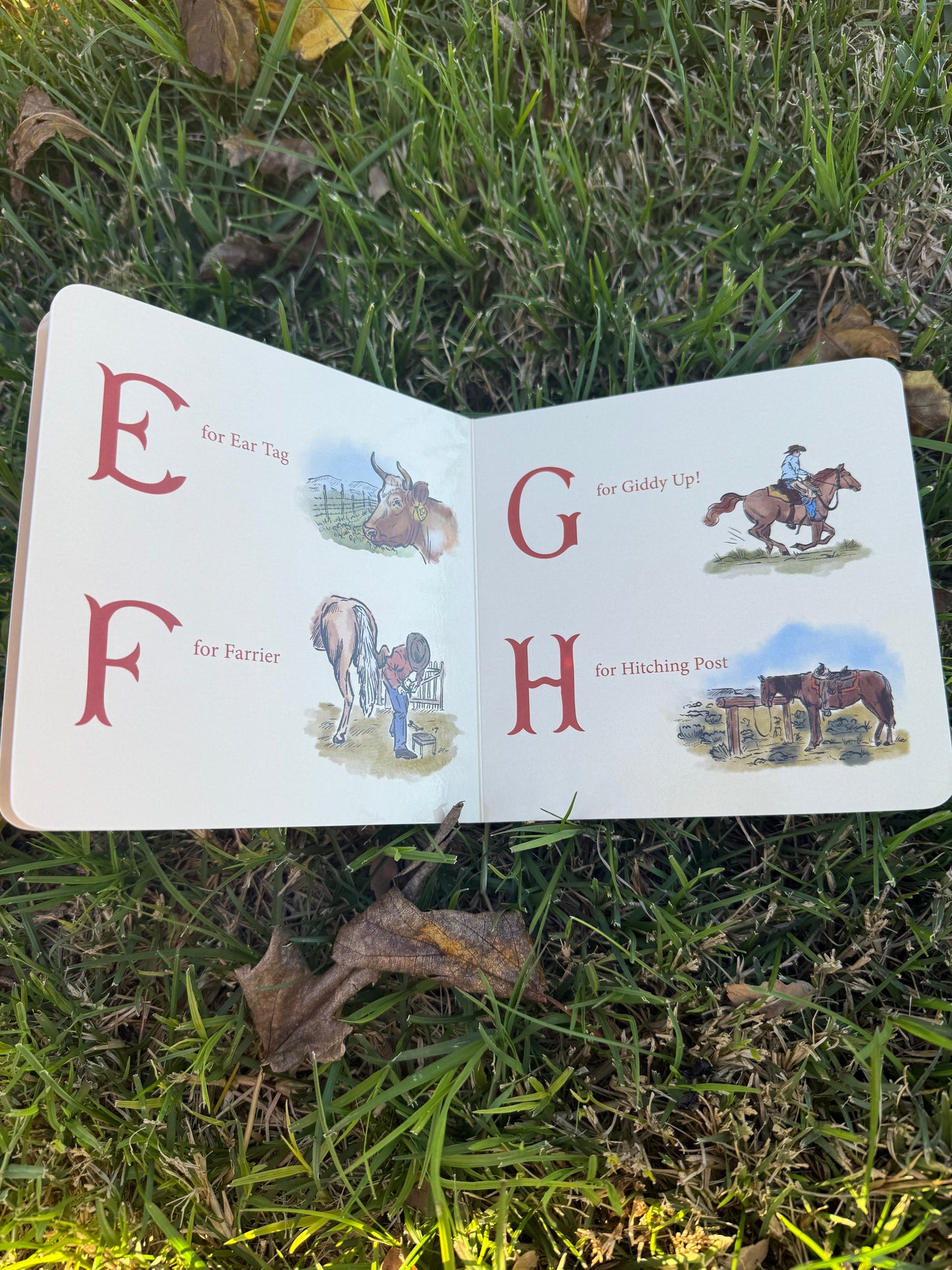 Little Rancher's ABC Board Book