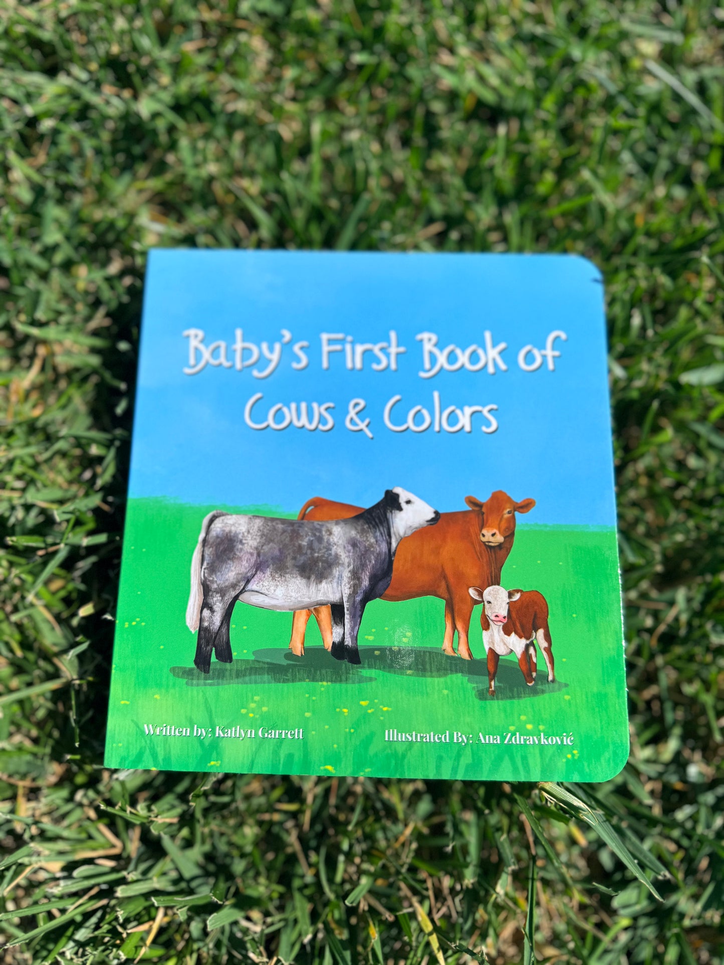 Baby's First Book of Cows & Colors