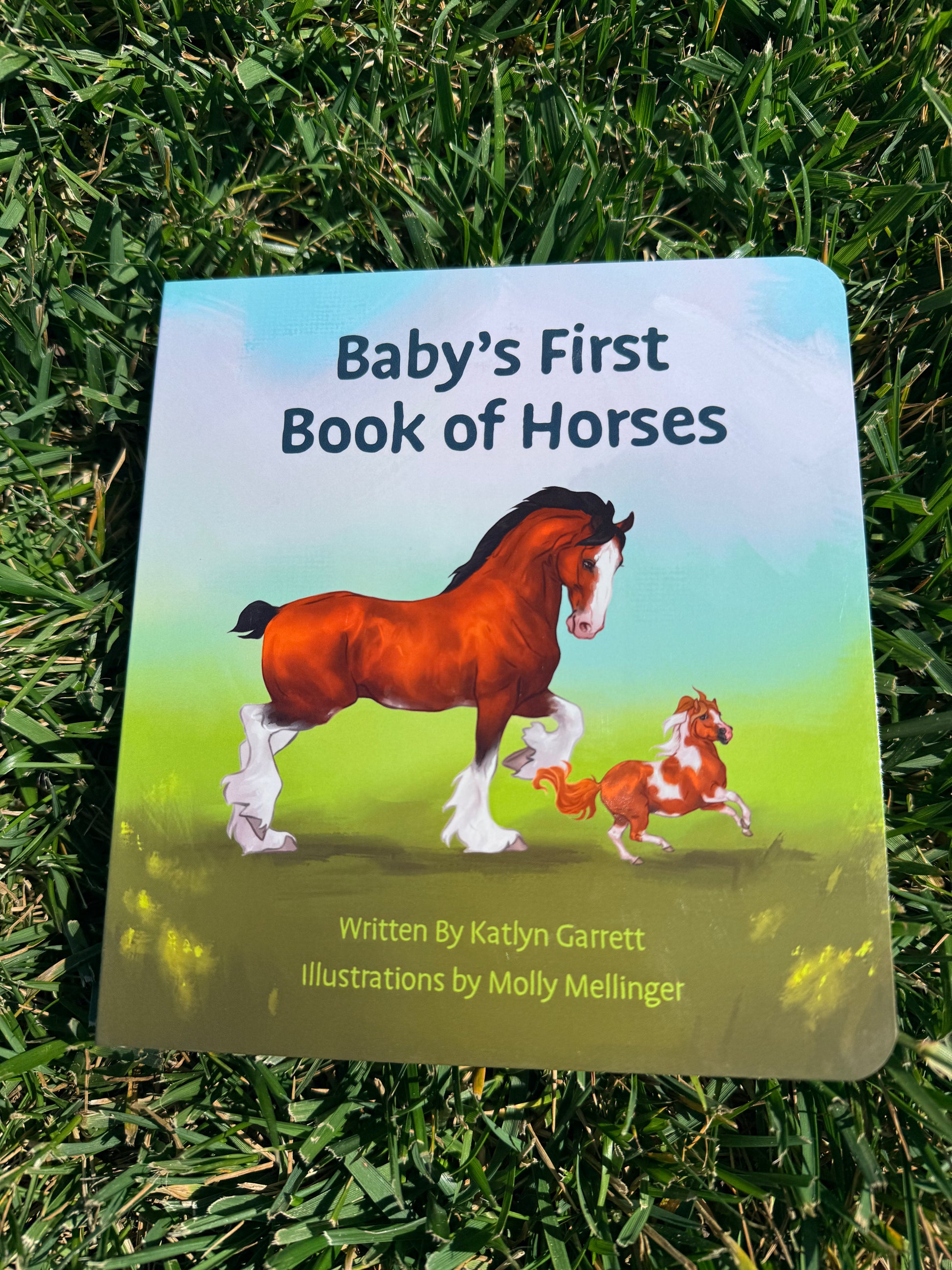 Leisel's First Book Baby's First Book of Horses – Little Blue Roan Books